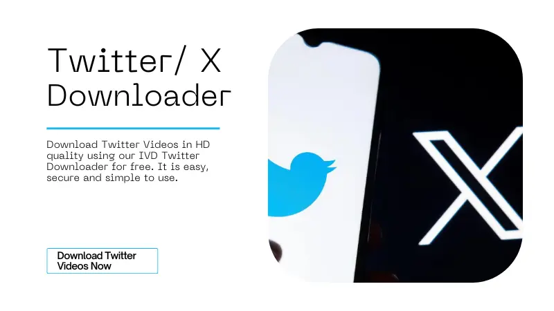 Twitter Video Downloader